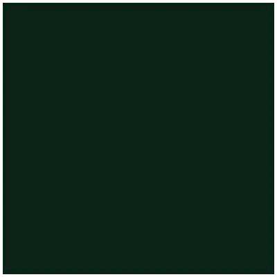 Hunter green square color